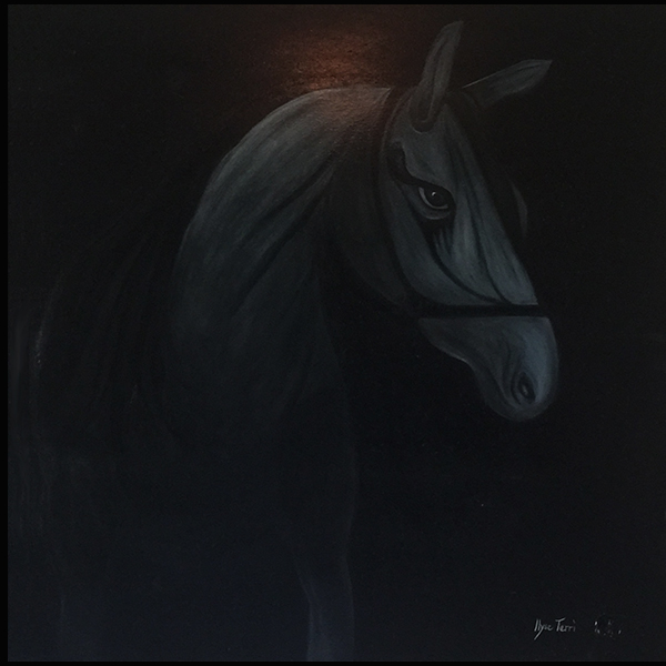 Darkhorse-IlyseTerriLlc